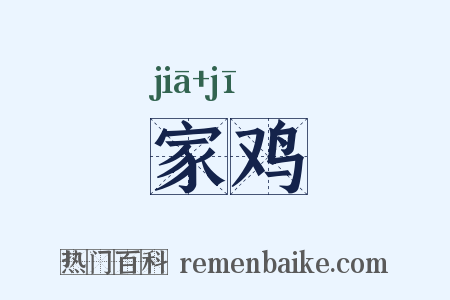 家鸡是什么意思的图片